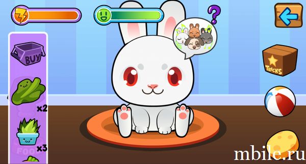 My Virtual Rabbit
