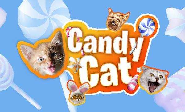 Candy Cat взлом