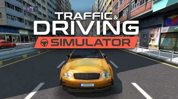 Traffic and Driving Simulator взлом