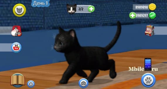 Скачать Daily Kitten: виртуальный кот взломанный