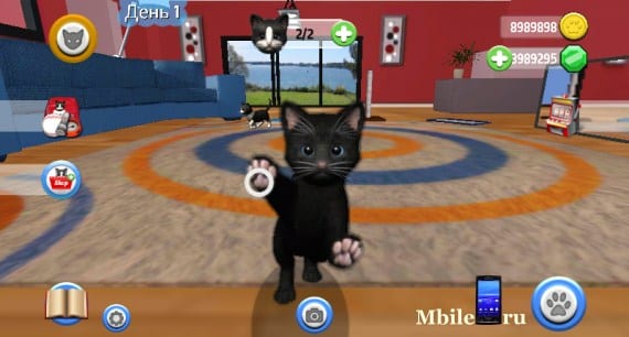 Daily Kitten: виртуальный кот скачать взлом
