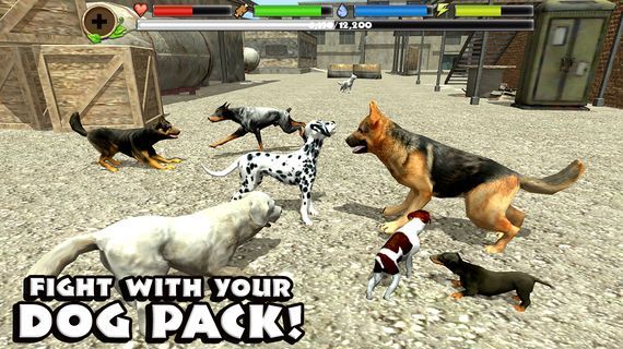 Игра Stray Dog Simulator на андроид