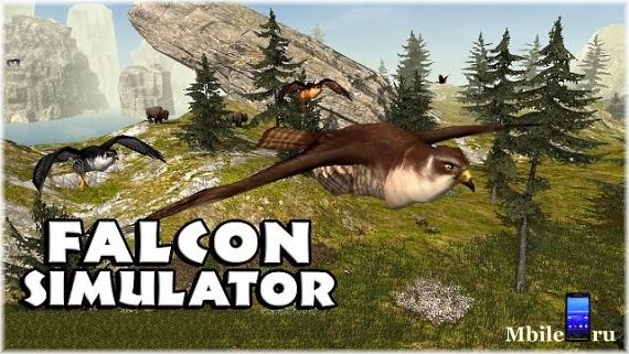 Falcon Simulator