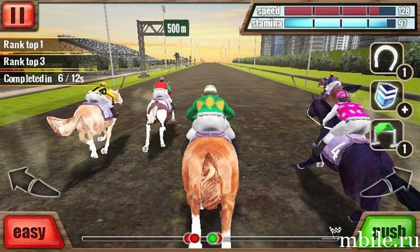 Скачки 3D - Horse Racing