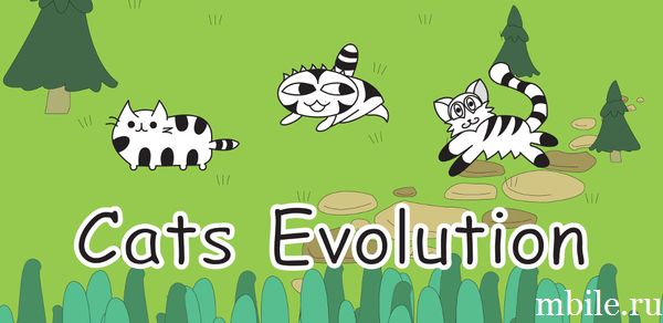 Cats Evolution - котики