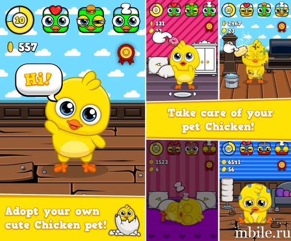 My Chicken - Virtual Pet Game