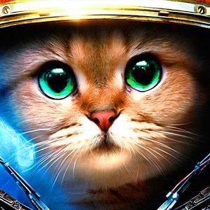 Armored Kitten: Охотник на зомби Взлом