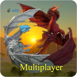 Dragon Multiplayer 3D Взлом