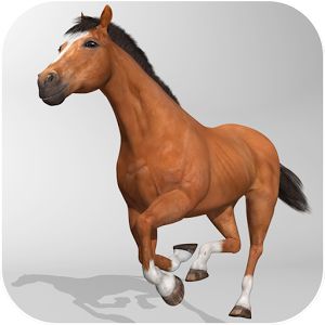 Horse Simulator 3D Взлом